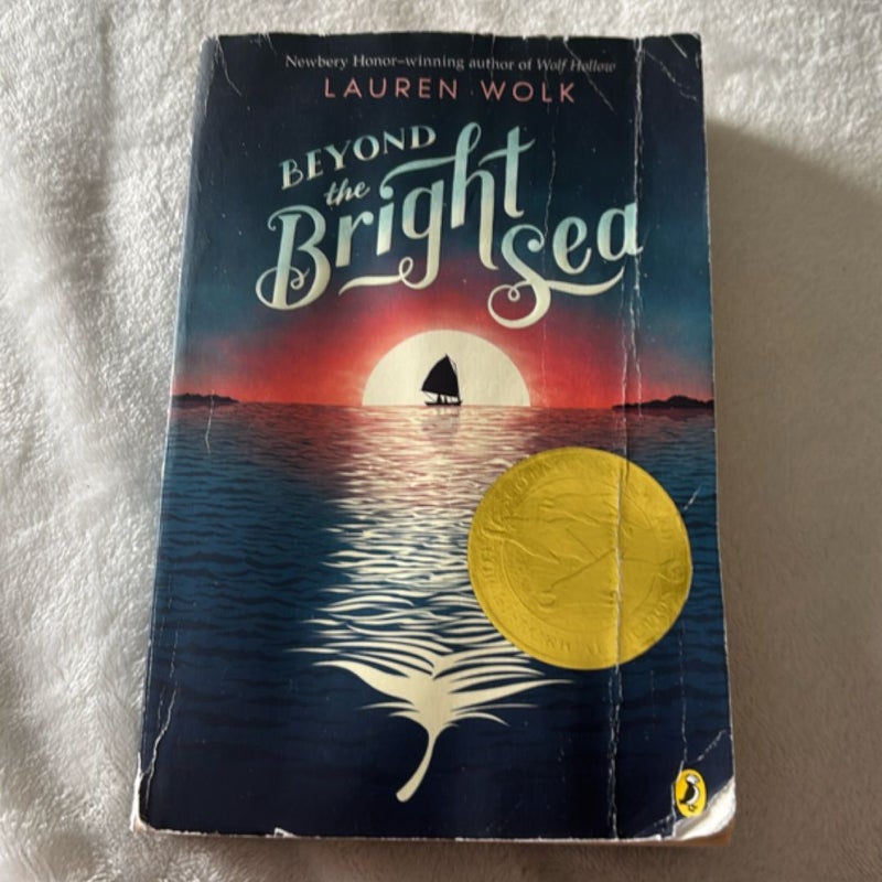Beyond the Bright Sea