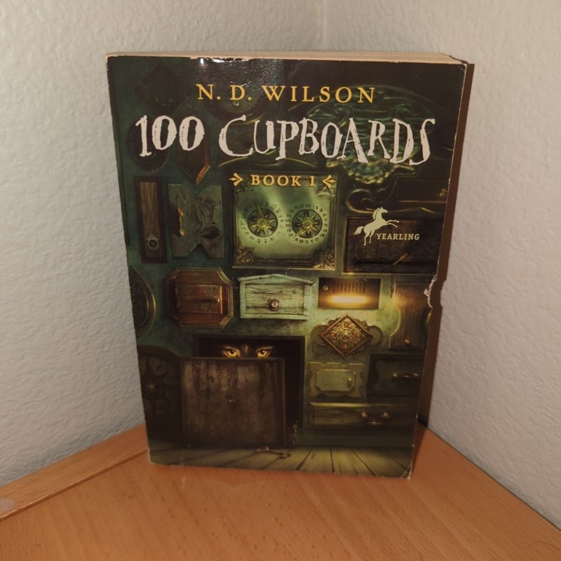 100 Cupboards (100 Cupboards Book 1)