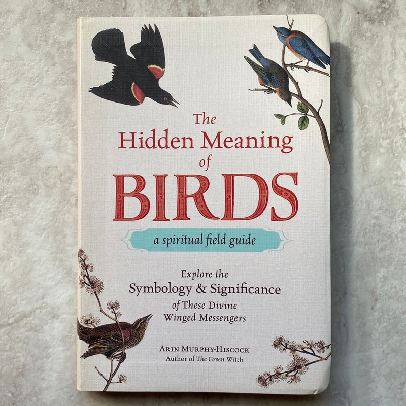 The Hidden Meaning of Birds--A Spiritual Field Guide