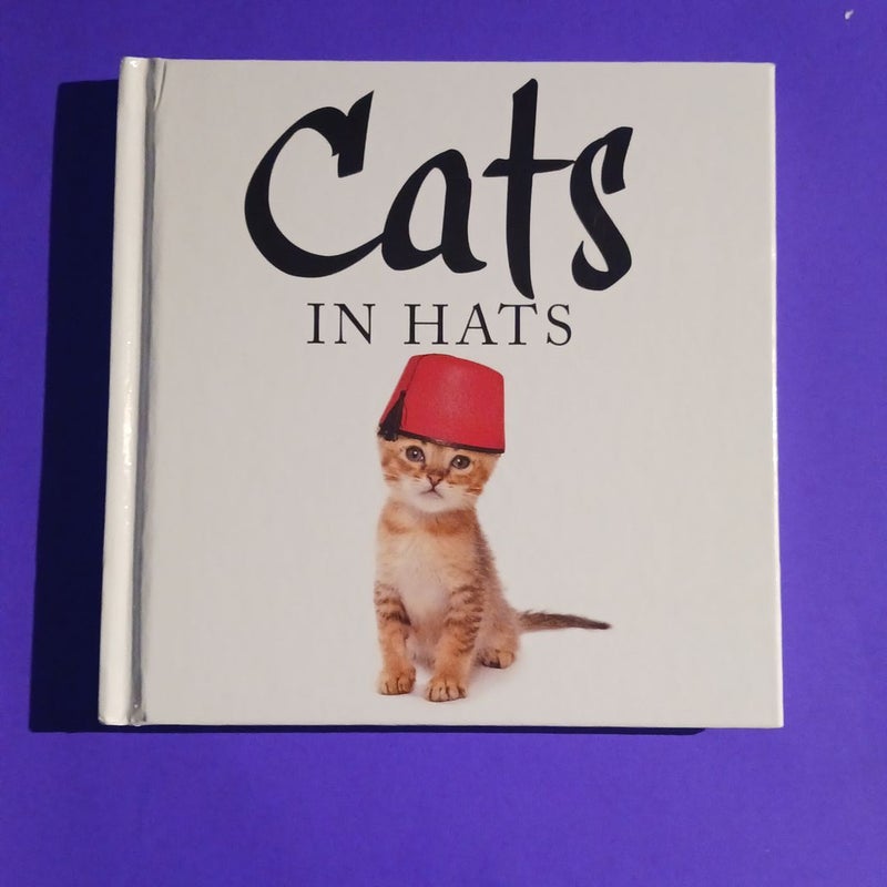 Cats in Hats