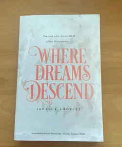 Where Dreams Descend (bound manuscript)
