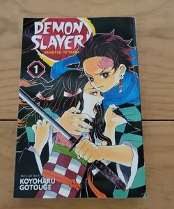 Demon Slayer: Kimetsu No Yaiba, Vol. 1