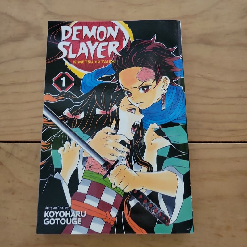 Demon Slayer: Kimetsu No Yaiba, Vol. 1