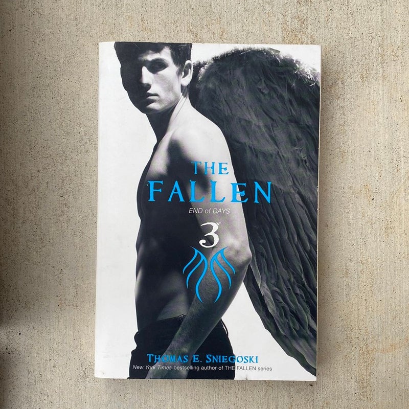 The Fallen 3