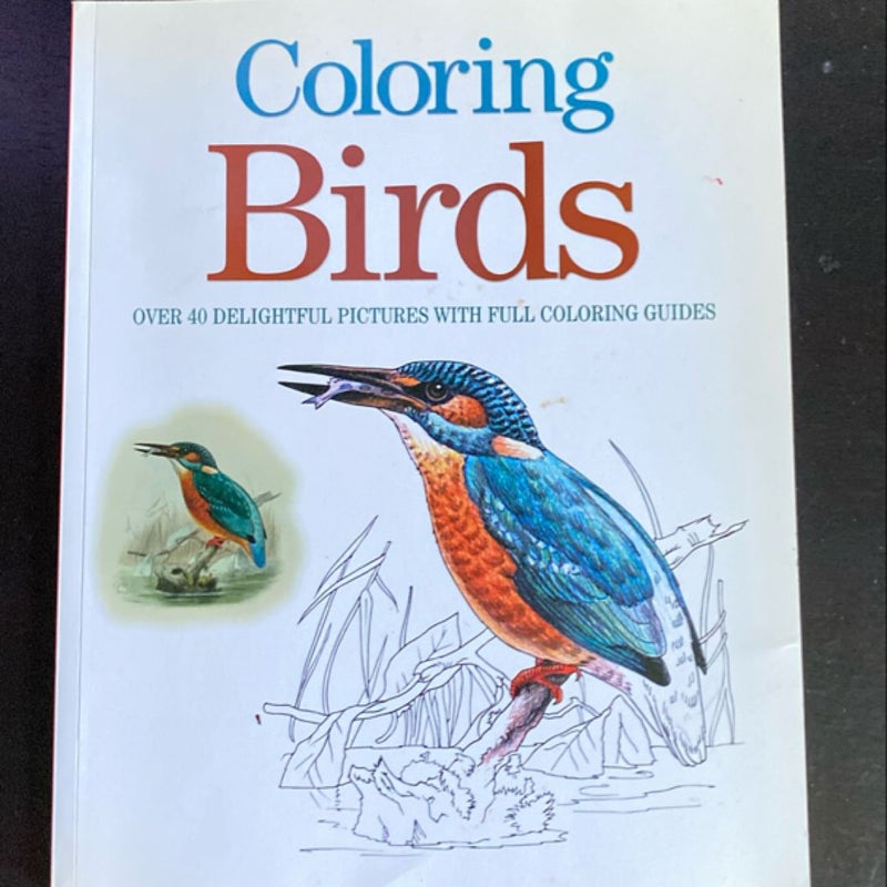 Coloring Birds