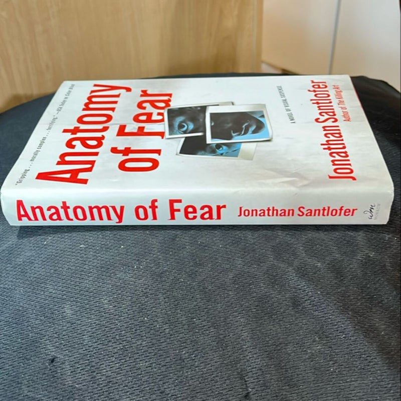 Anatomy of Fear