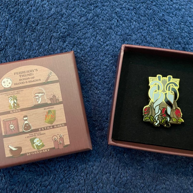 Bookish Box pins