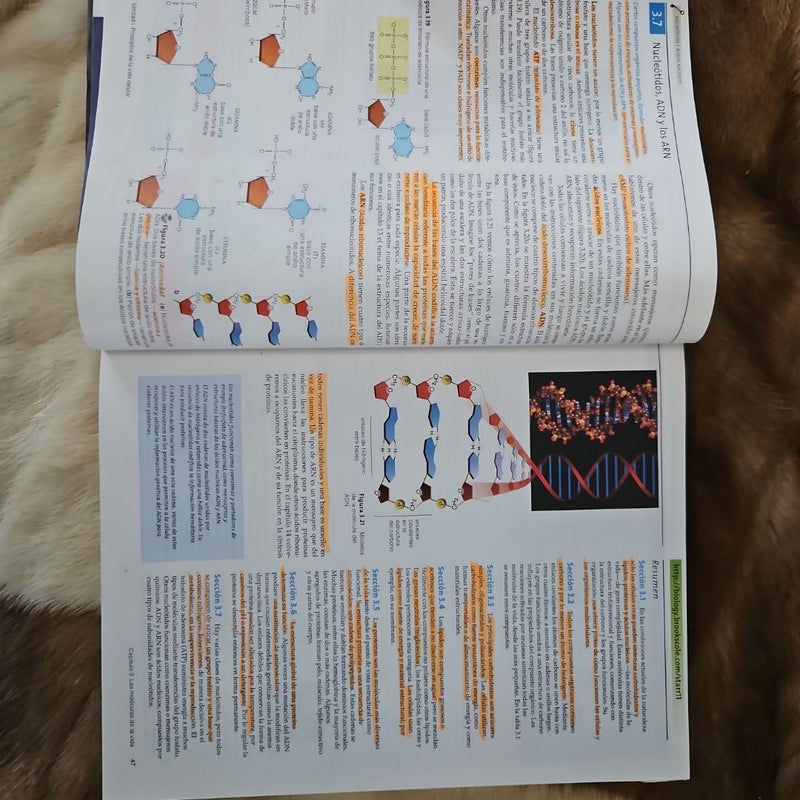 Biolog#237;A. la Unidad Y Diversidad de la Vida