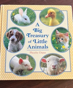 Big Treasury of Little Animals