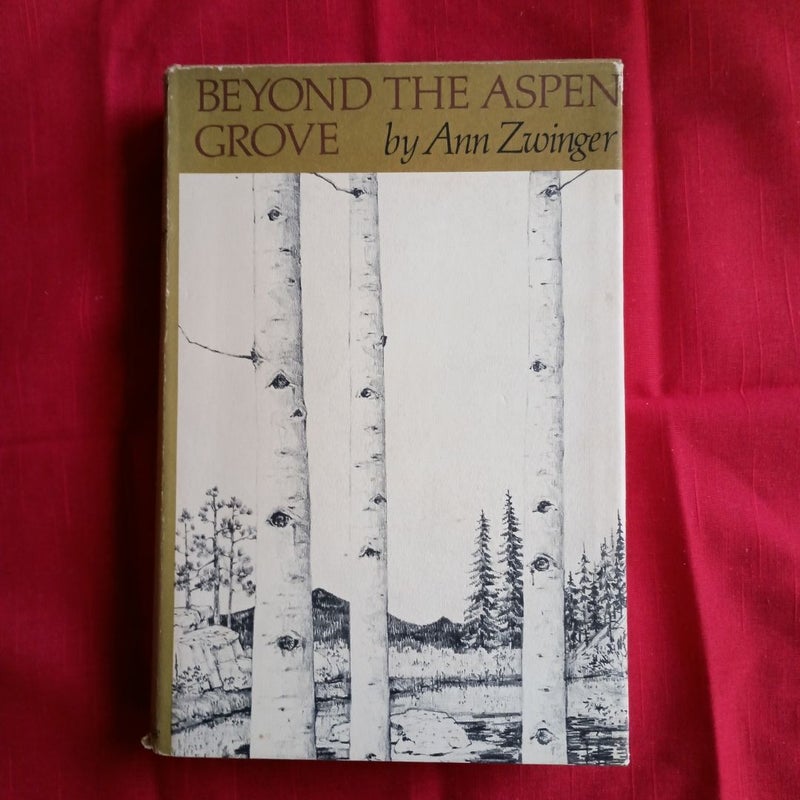 Beyond The Aspen Grove