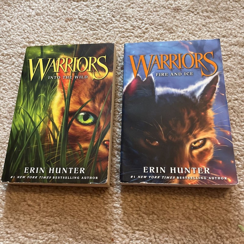 Warrior cats The prophecies begin book 1 and 3