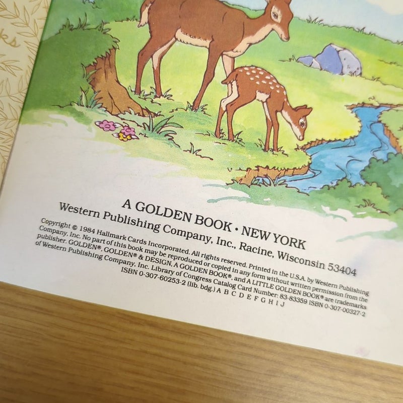 Rainbow Brite and the Brook Meadow Deer