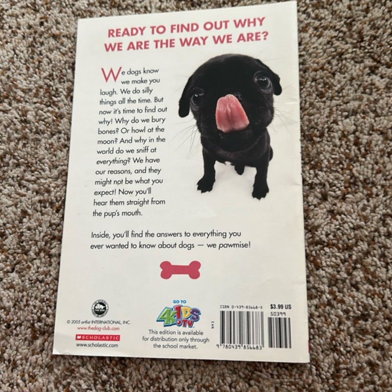 The dog