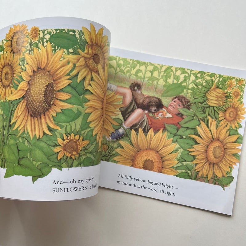 Sunflower House