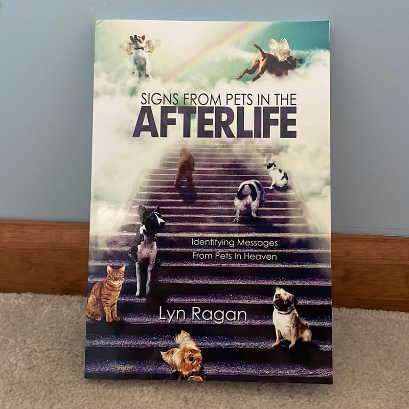 Signs from Pets in the Afterlife