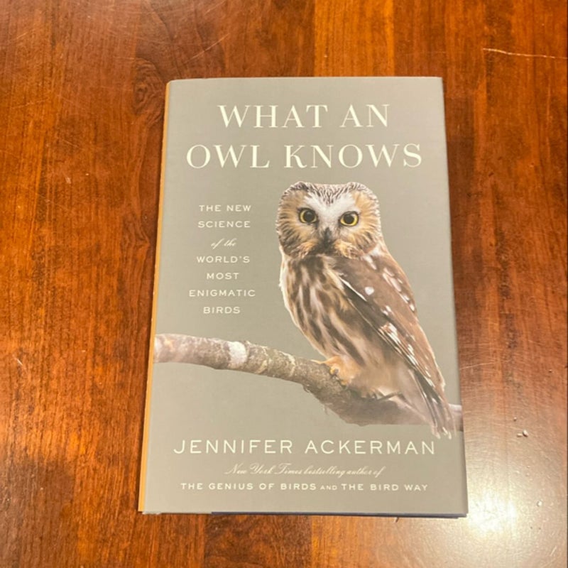 What an Owl Knows