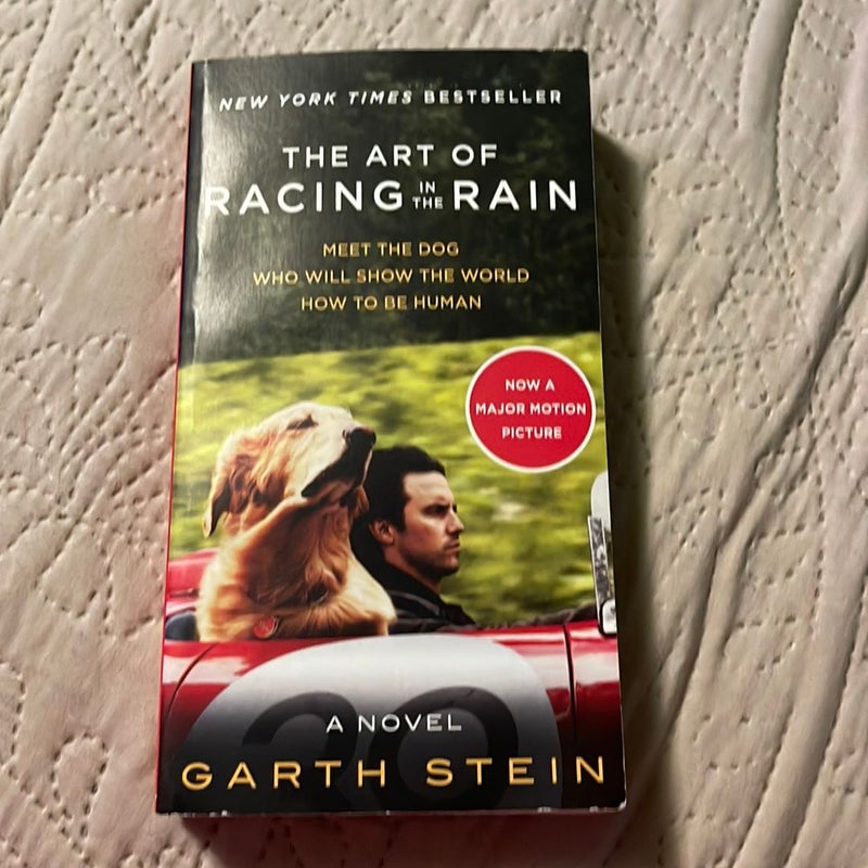 The Art of Racing in the Rain Movie Tie-In Edition