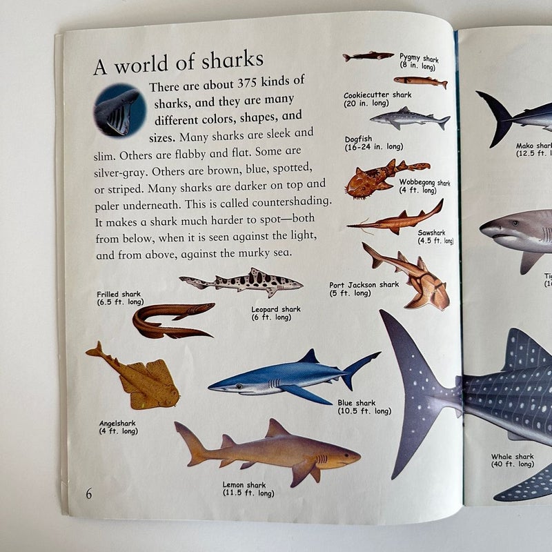 Whales, Dolphins, and Sharks book bundle, 2 books