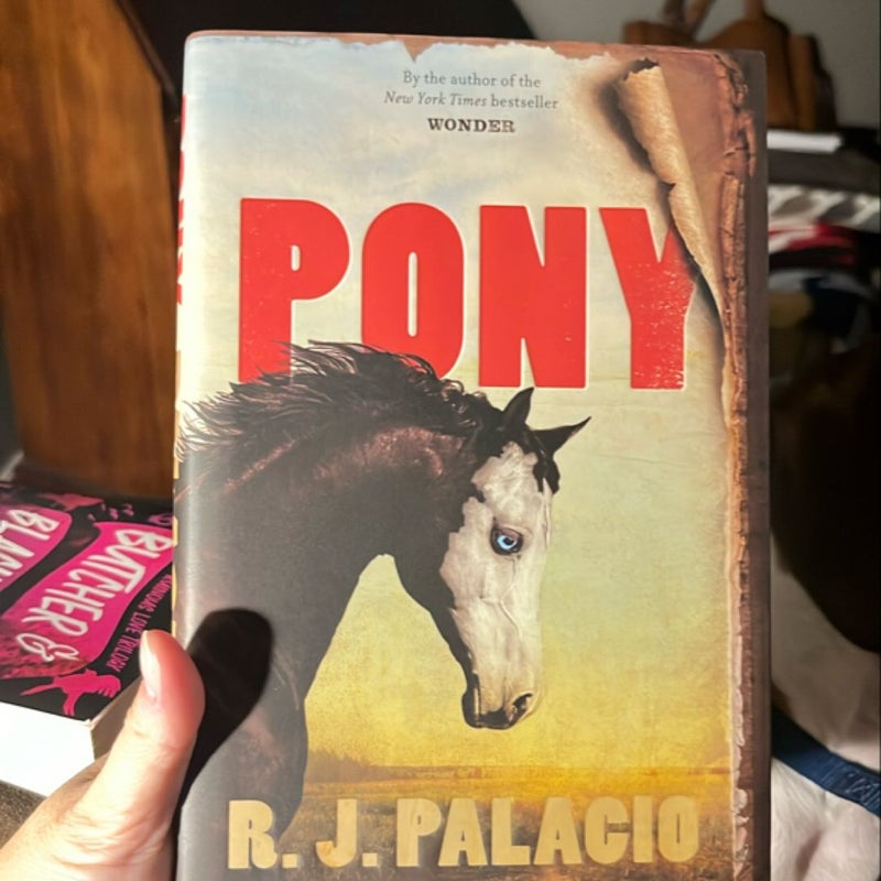 Pony