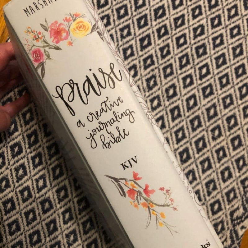 Praise: A Creative Journaling Bible