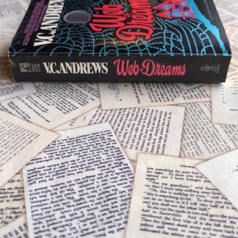Web of Dreams (Casteel Family #5, Stepback Cover)