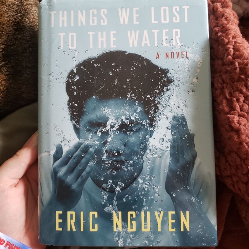 Things We Lost to the Water