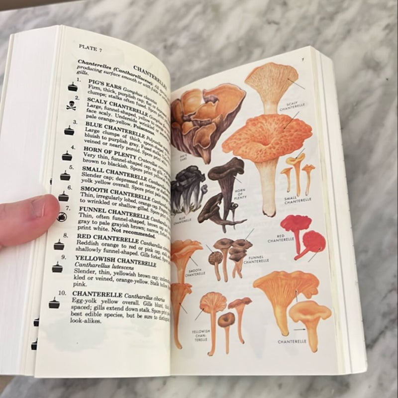 A Peterson Field Guide to Mushrooms