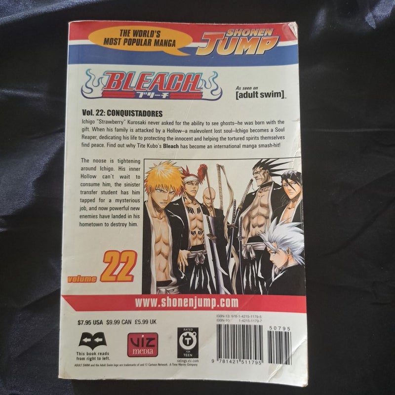 Bleach, Vol. 22