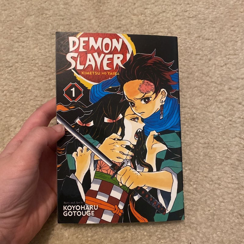 Demon Slayer: Kimetsu no Yaiba, Vol. 1 (1)