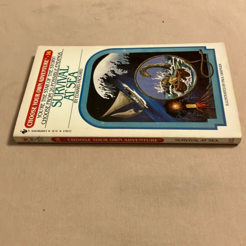 Choose Your Own Adventure #16: Survival at Sea