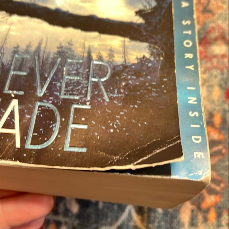 Never Fade (Bonus Content)