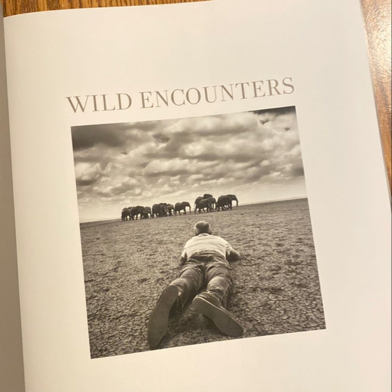 Wild Encounters