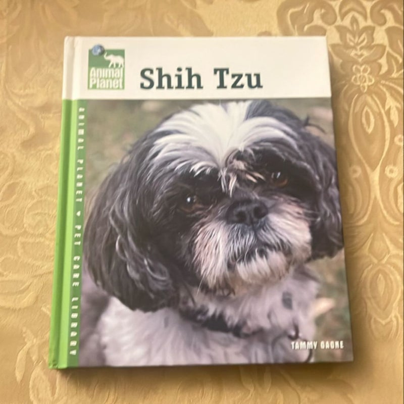 Shih Tzu