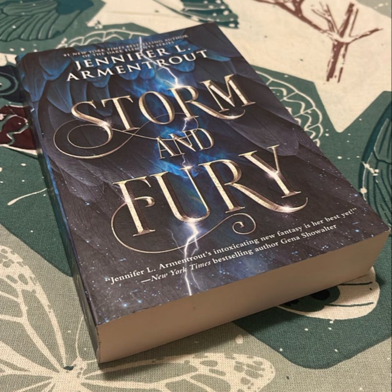 Storm and Fury
