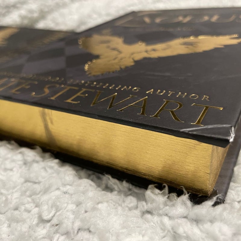 Ravenhood Special edition set 