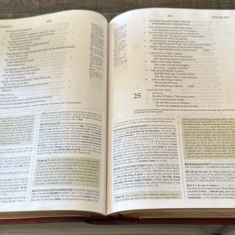 ESV Study Bible