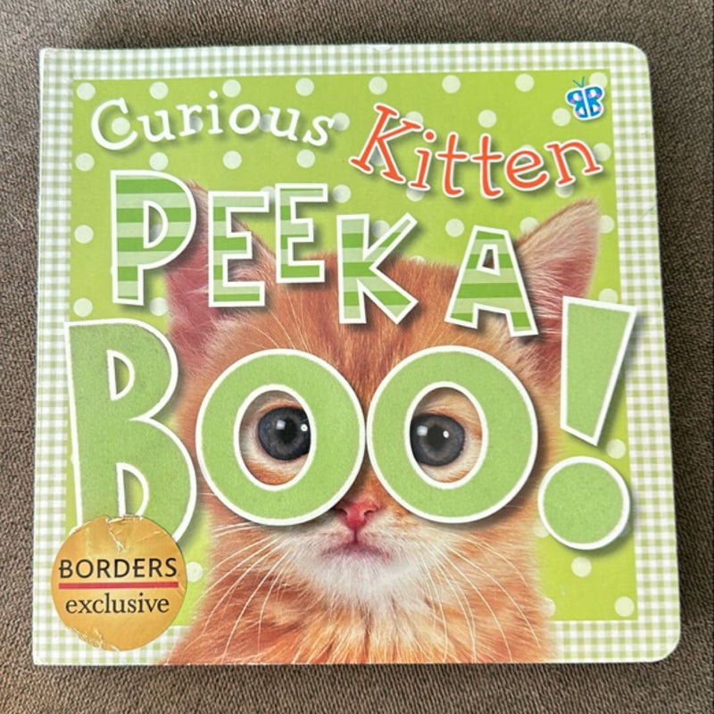 Curious Kitten Peek-a-Boo!