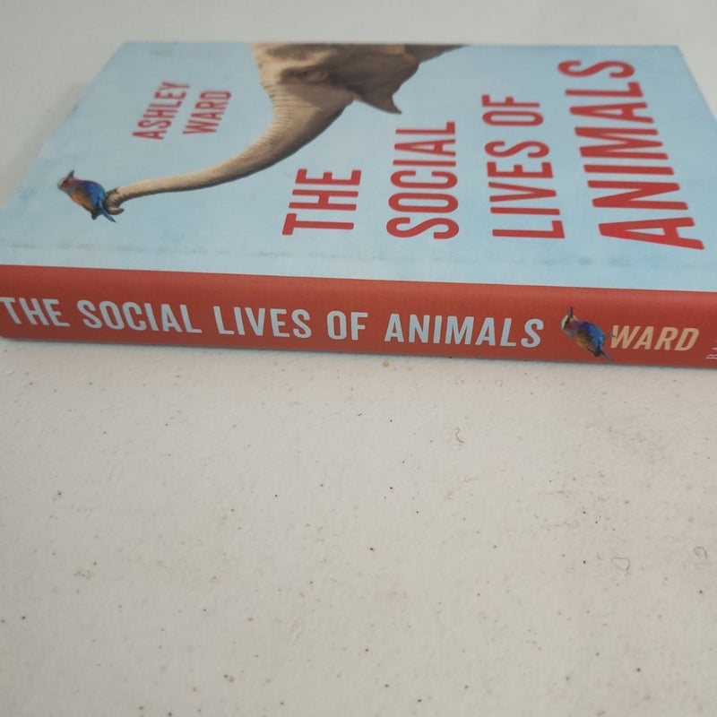 The Social Lives of Animals