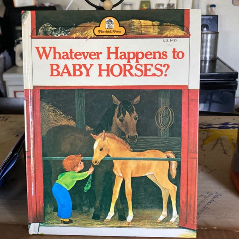 Whatever Happens to Baby Horses?