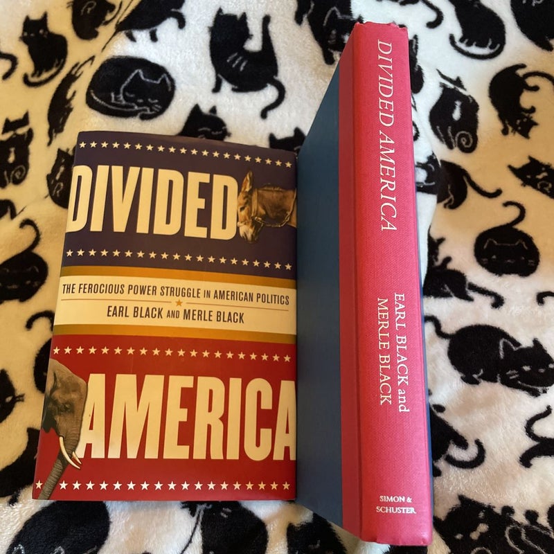 Divided America