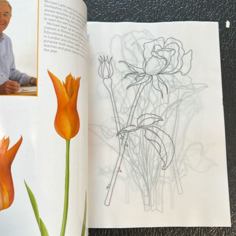 Beginner's Guide to Botanical Flower Painting