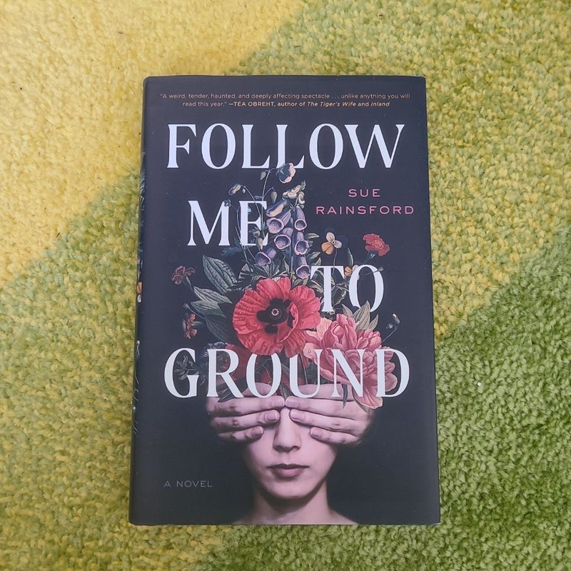 Follow Me to Ground