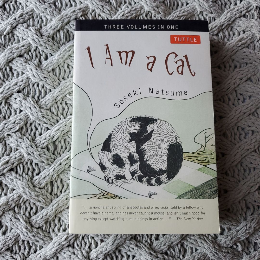 Sale image for b5e2e9d5-ce09-45a0-aacc-61e3483b4f07-3RNCTbS8qOO6BoQ6FYh07cLNF292