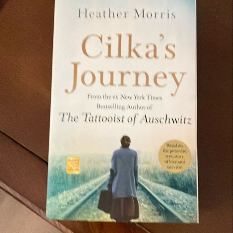 Cilka's Journey