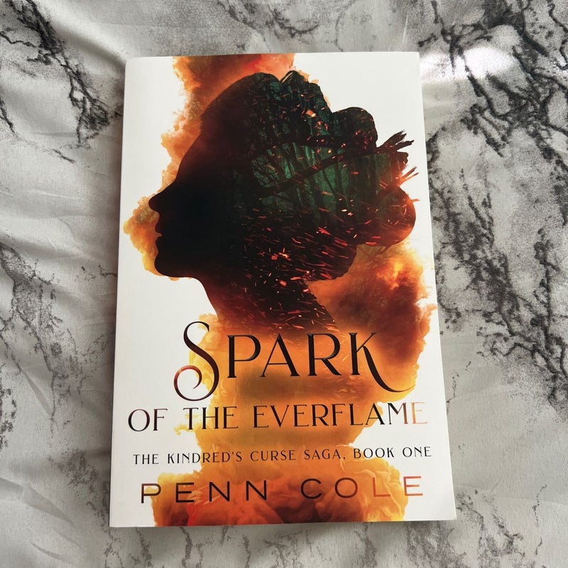 OOP INDIE Spark of the Everflame