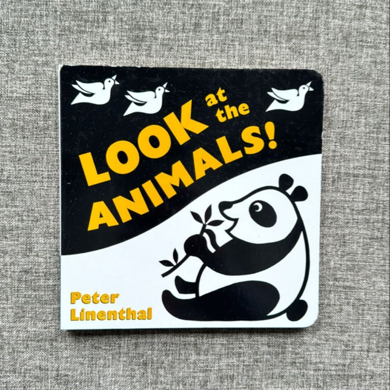 Look at the Animals! (Board Book)