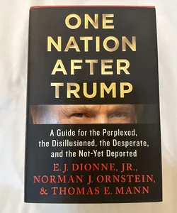 One Nation after Trump