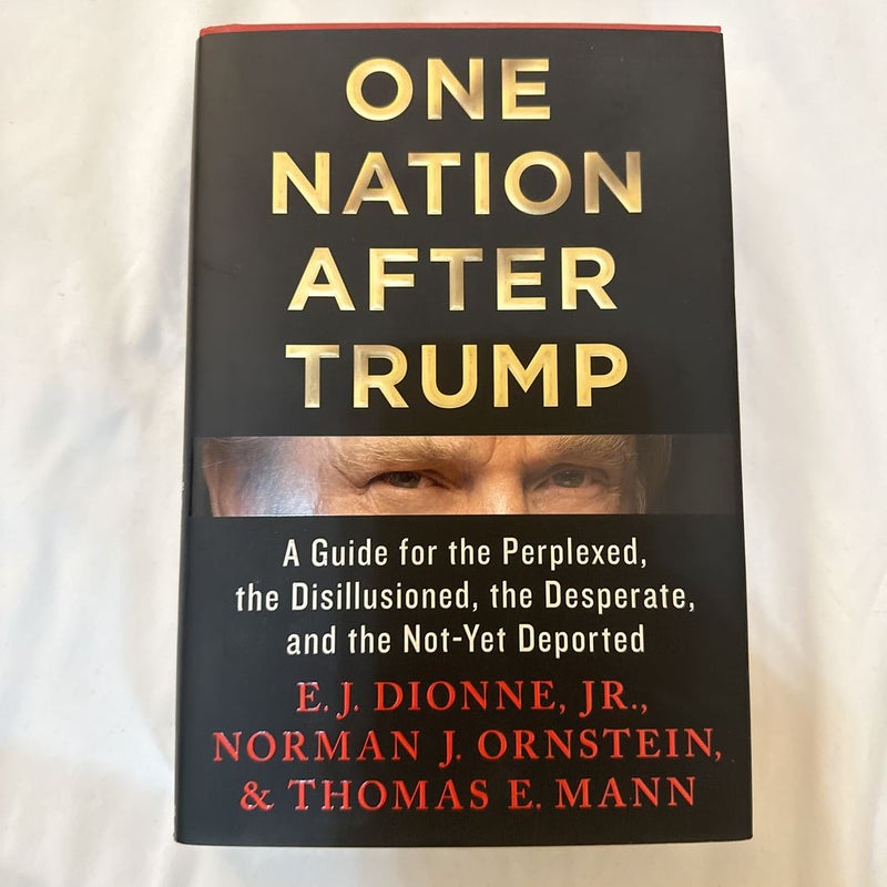 One Nation after Trump