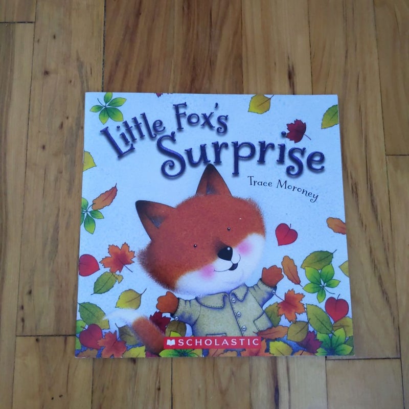 Little Fox's Surprise