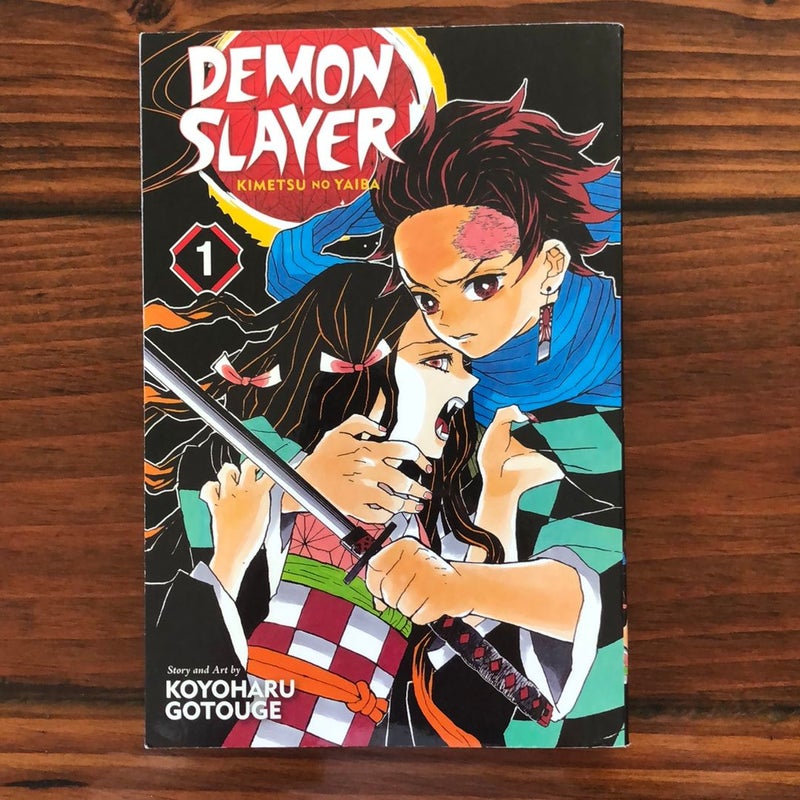 Demon Slayer: Kimetsu No Yaiba, Vol. 1